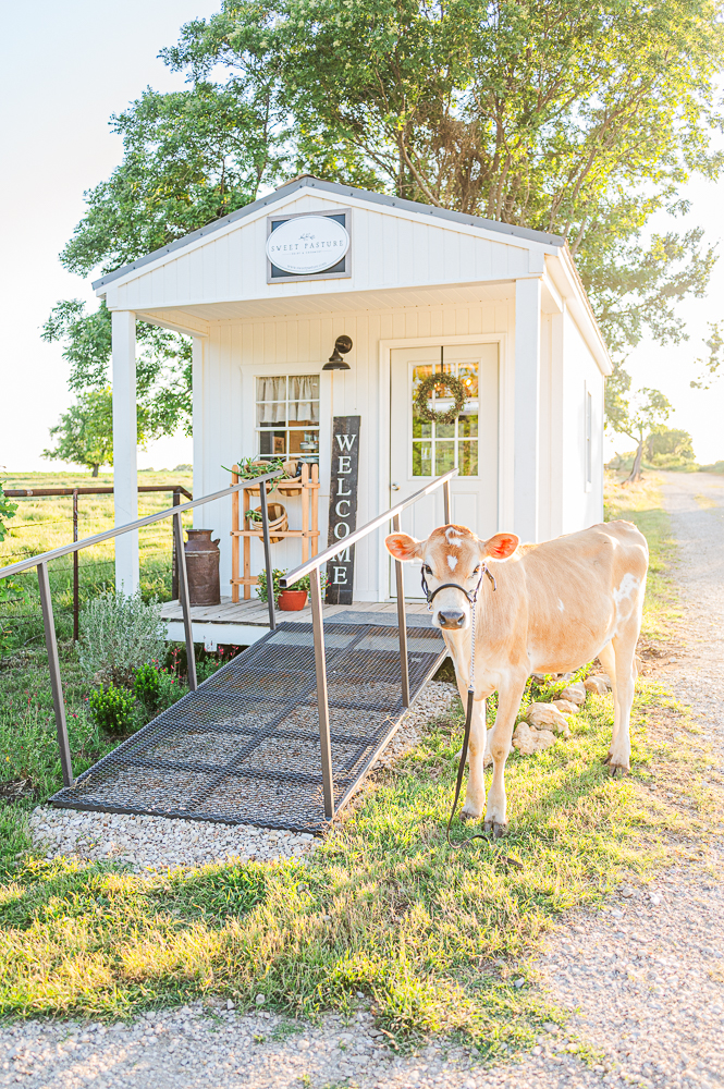 sweetpastures web 9