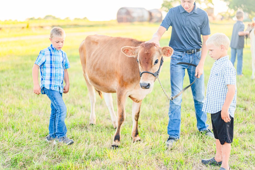 sweetpastures 2025Spring 31boys with cows